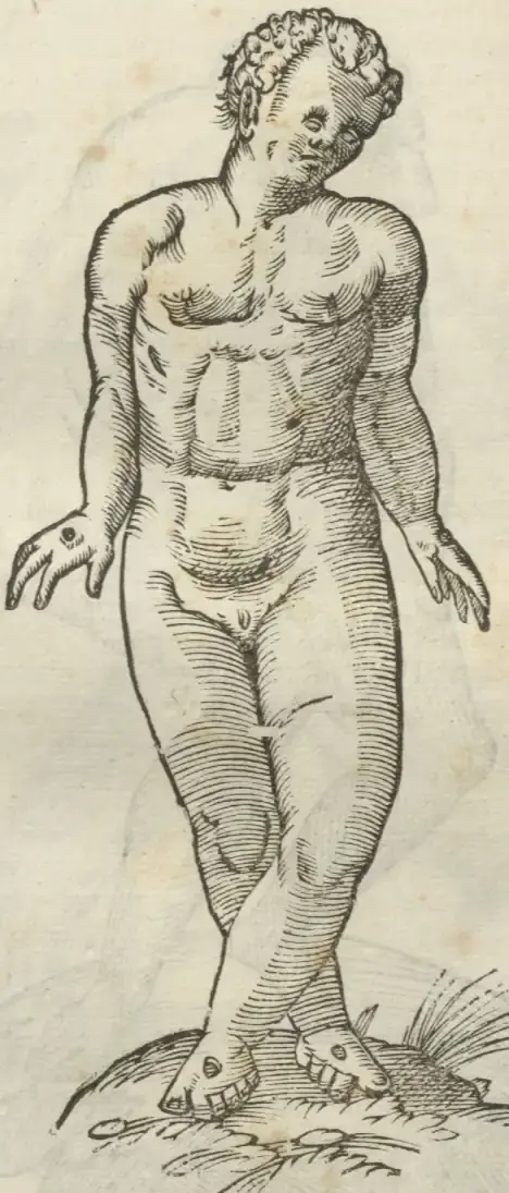 Illustration from page 466