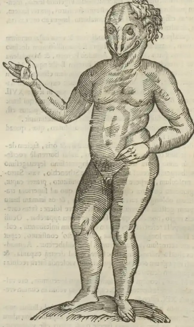 Illustration from page 468