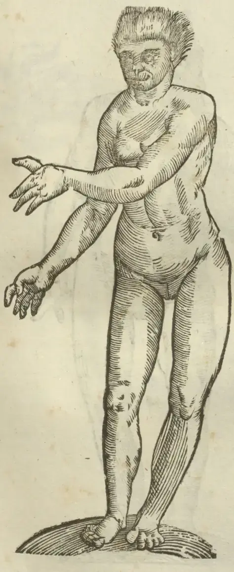 Illustration from page 469