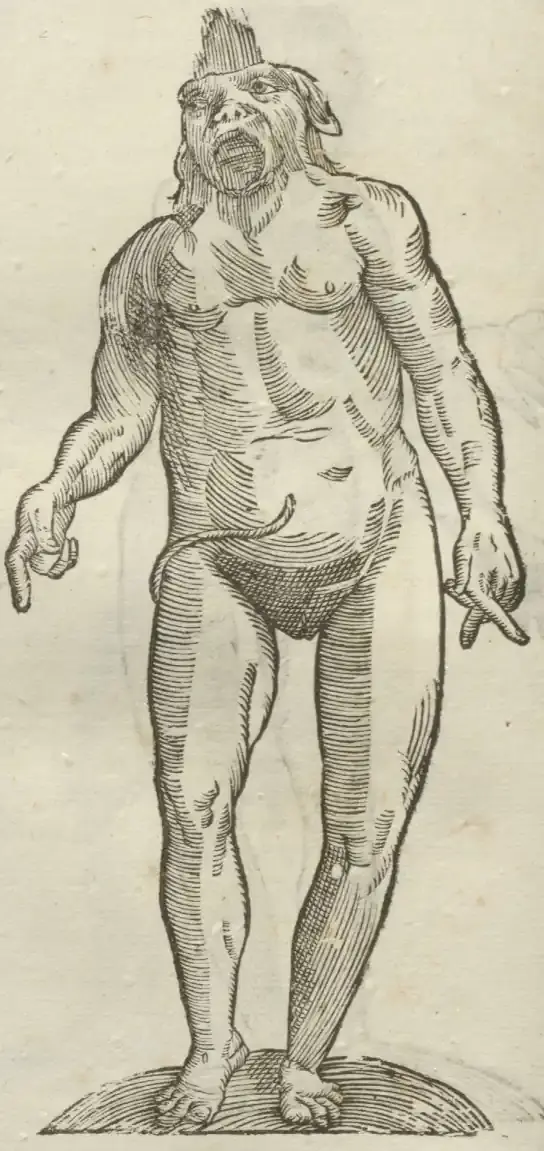 Illustration from page 470