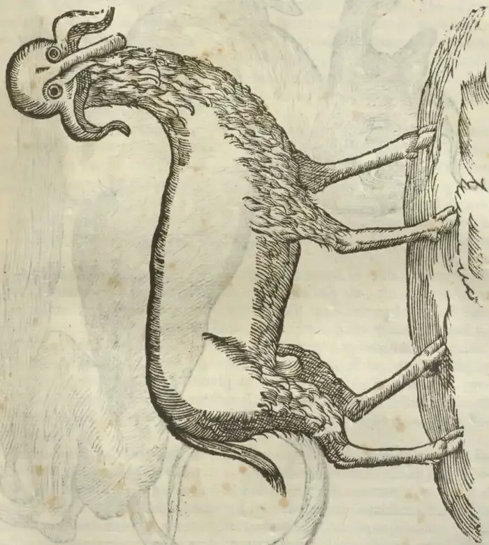 Illustration from page 471