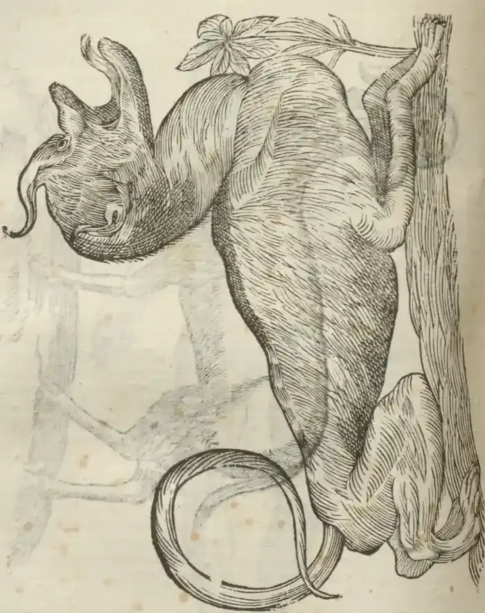 Illustration from page 472