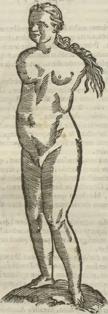 Illustration from page 476