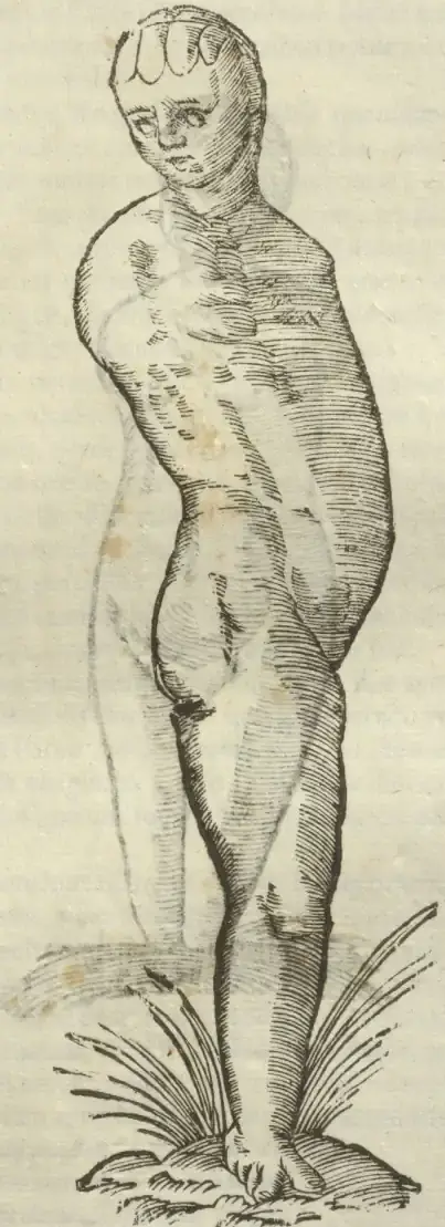 Illustration from page 477