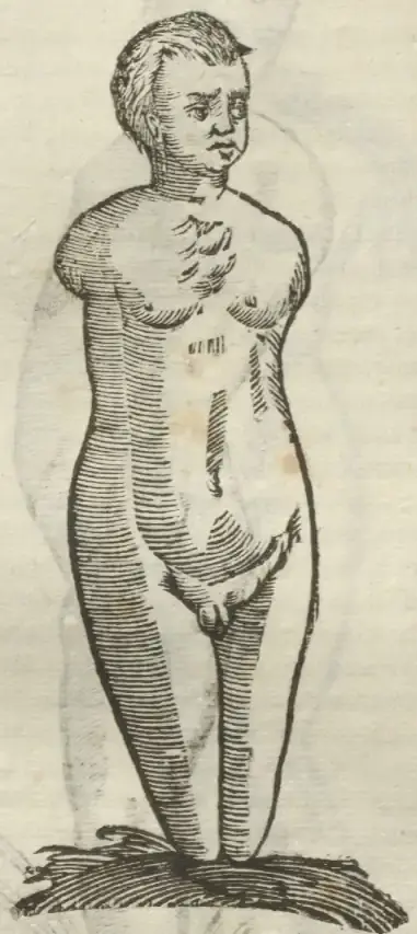 Illustration from page 478