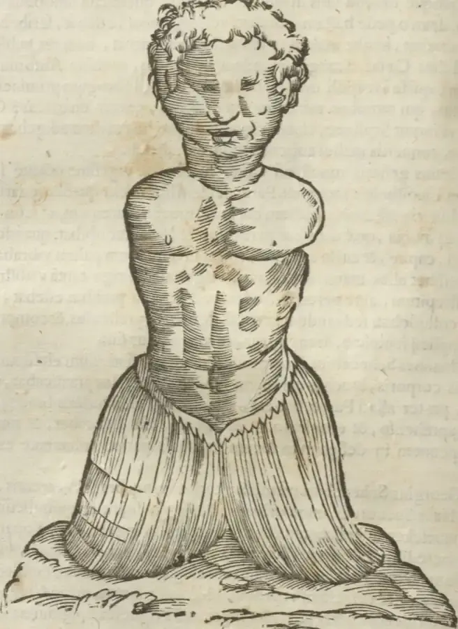 Illustration from page 480