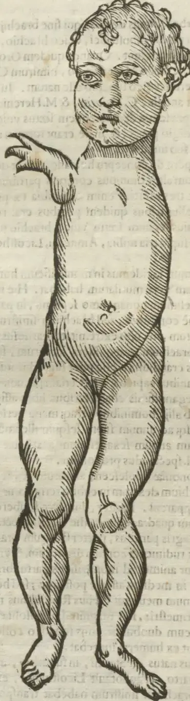 Illustration from page 484