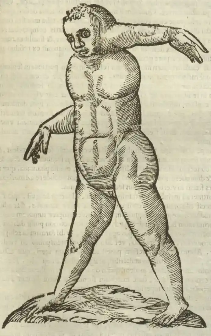 Illustration from page 487