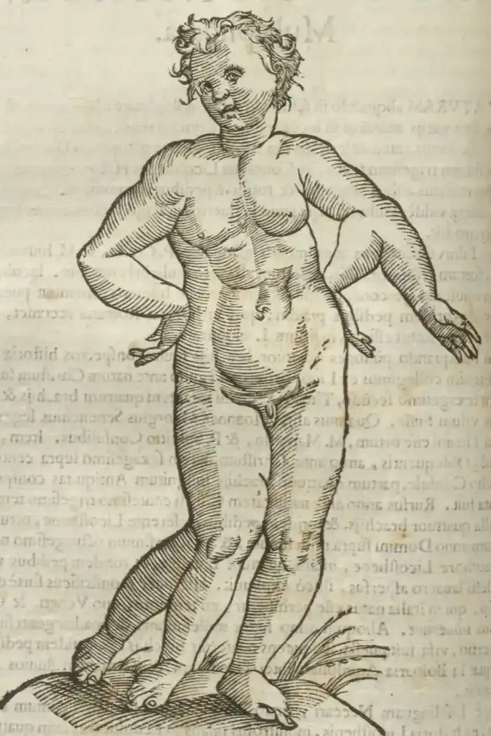 Illustration from page 490