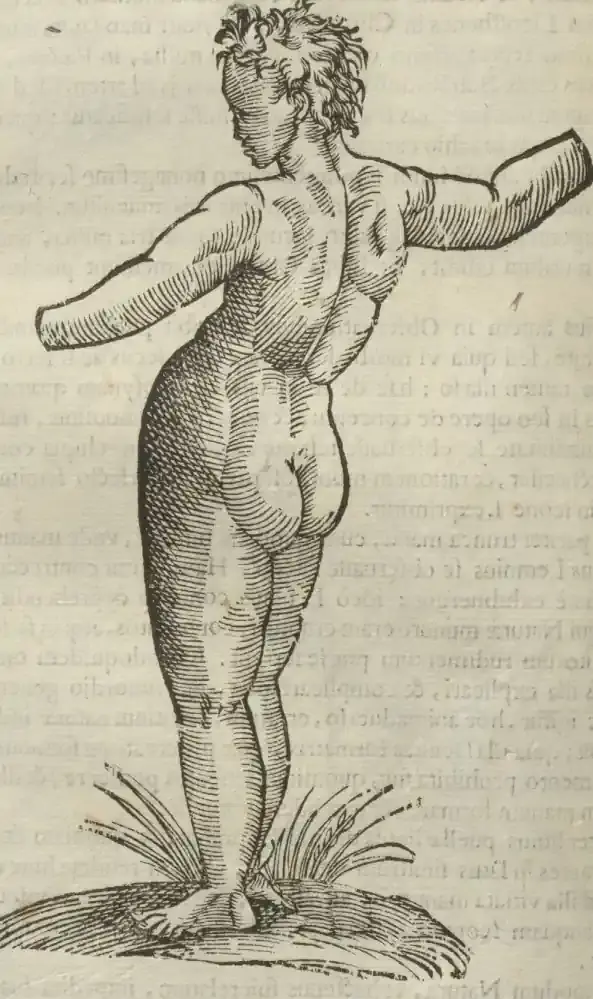 Illustration from page 496