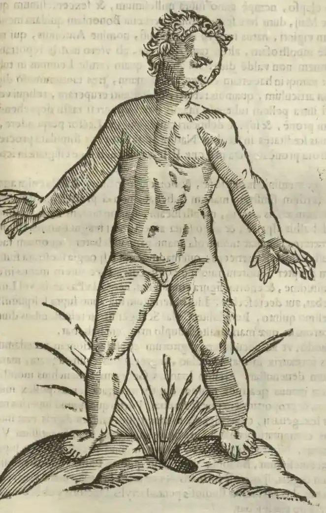 Illustration from page 497