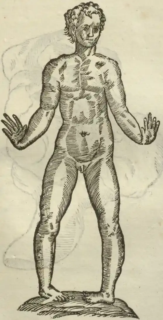 Illustration from page 499