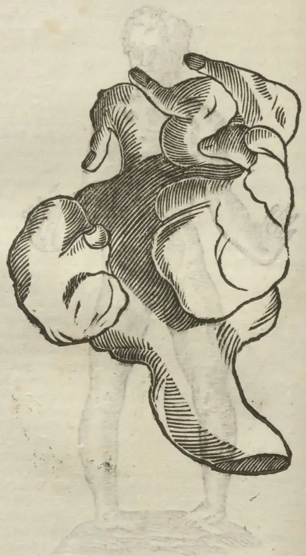 Illustration from page 500