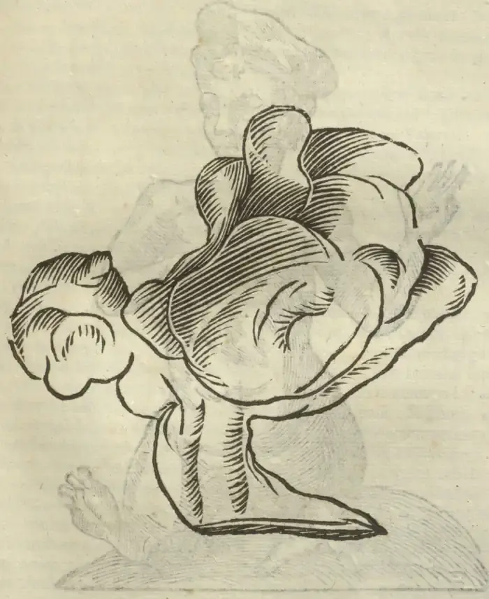 Illustration from page 501