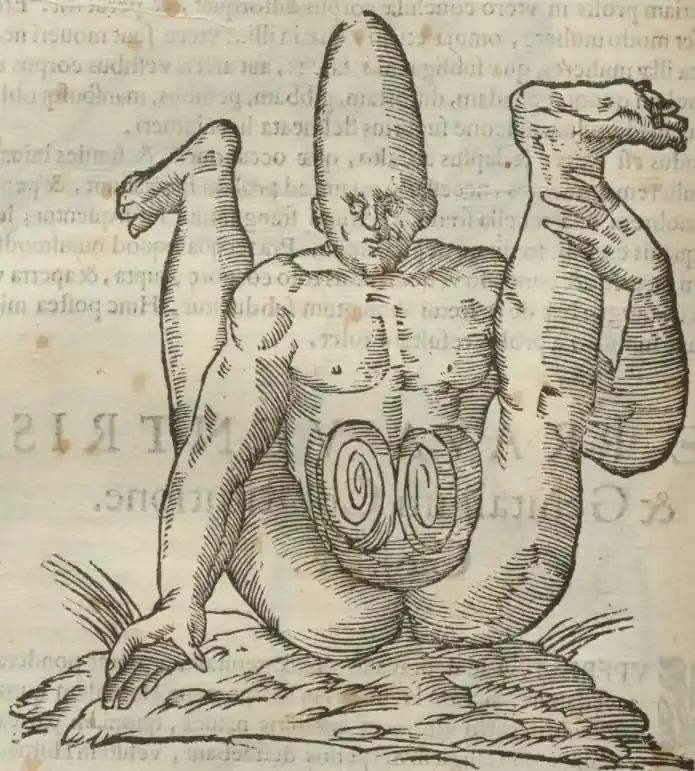 Illustration from page 506