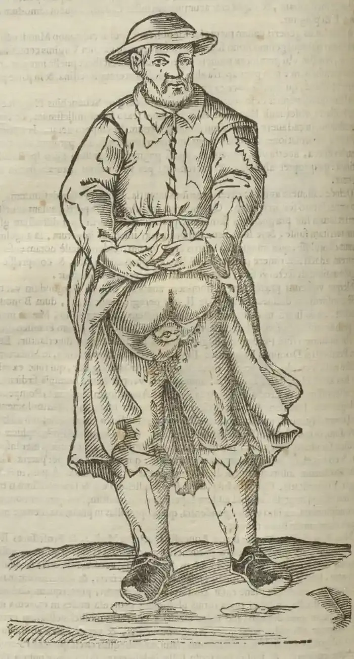 Illustration from page 508