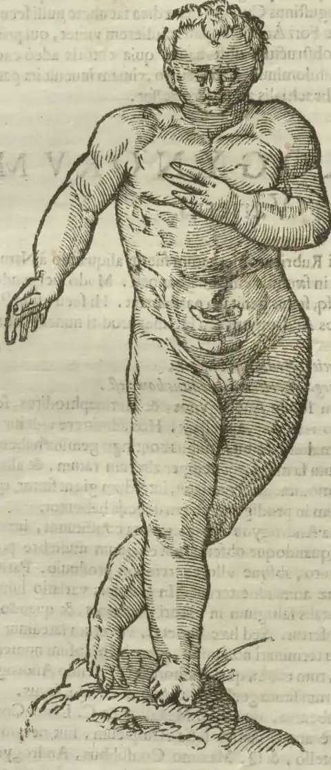 Illustration from page 514