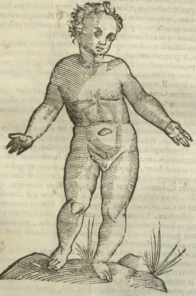 Illustration from page 515