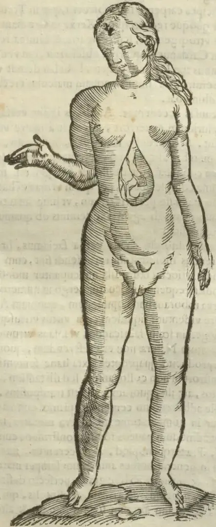Illustration from page 517