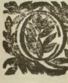 Illustration from page 519