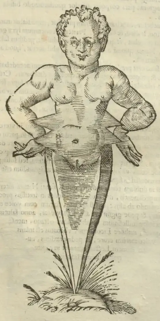 Illustration from page 521