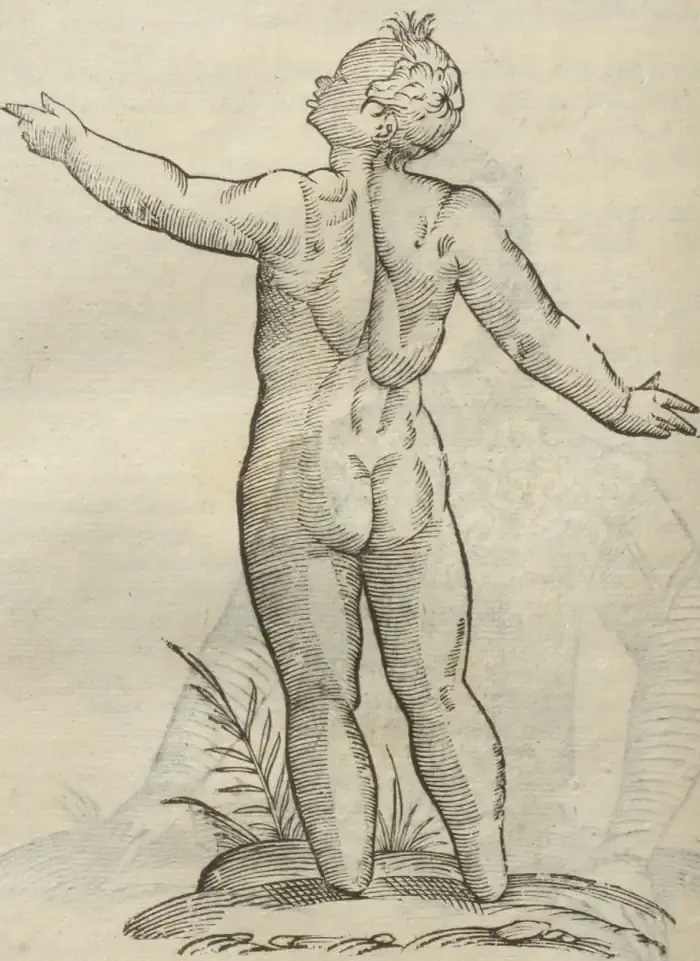 Illustration from page 524