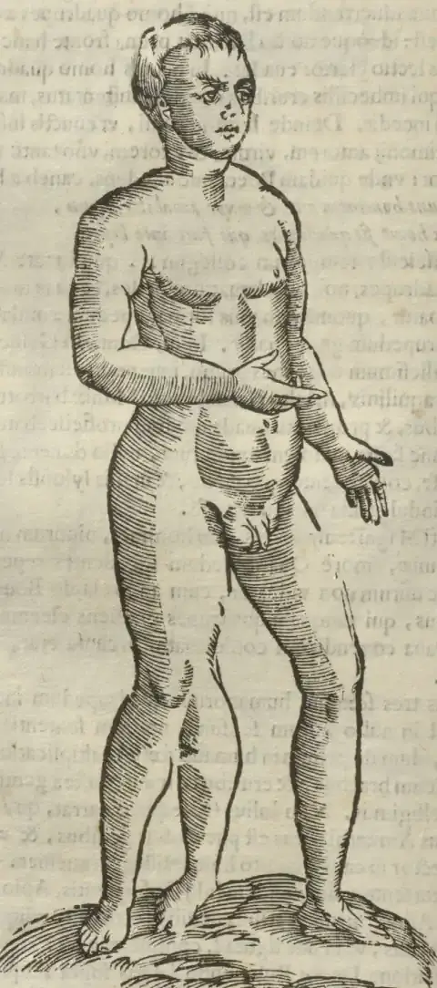 Illustration from page 534