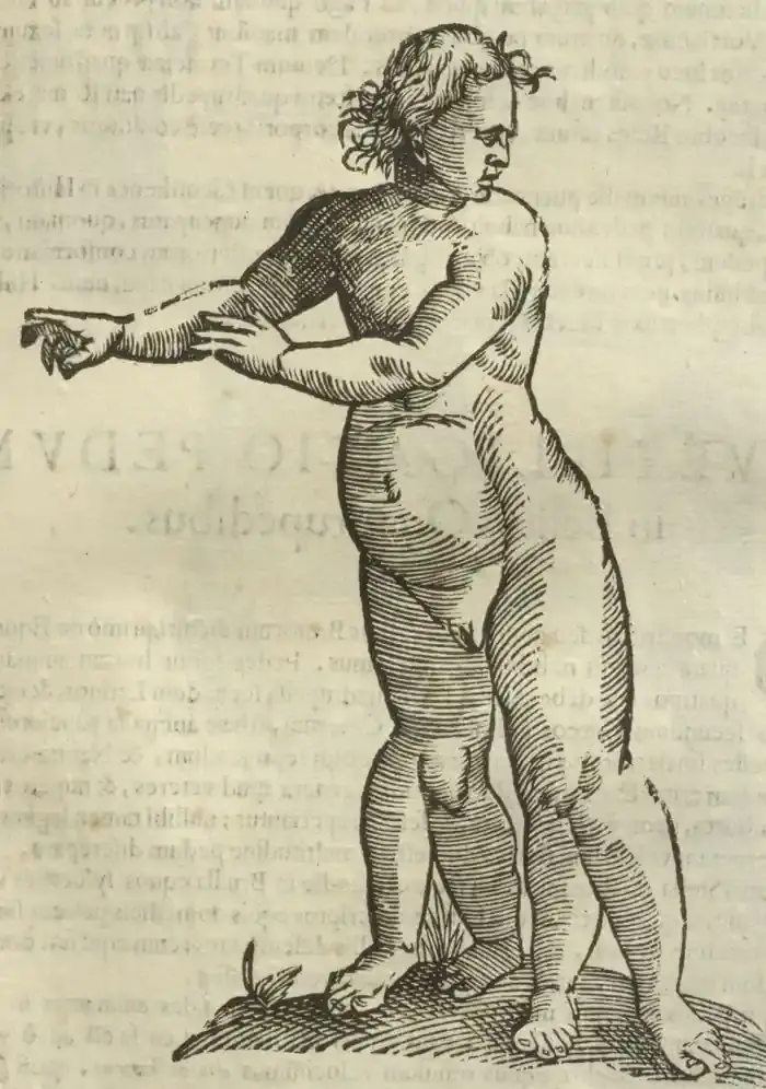 Illustration from page 535