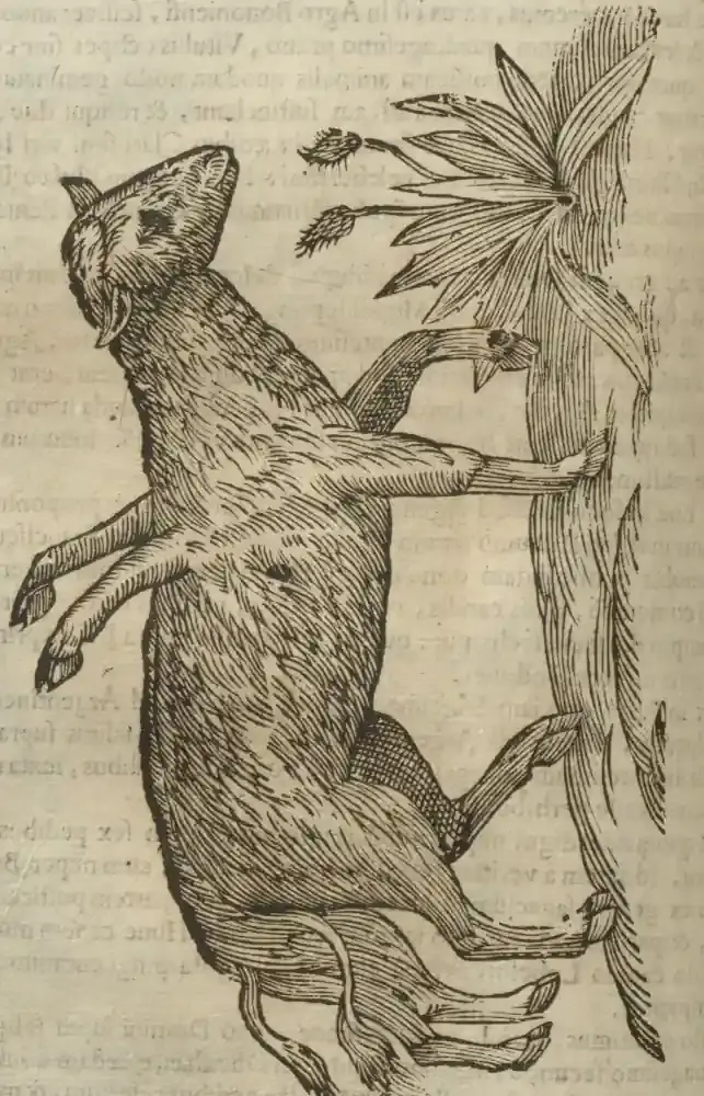 Illustration from page 544
