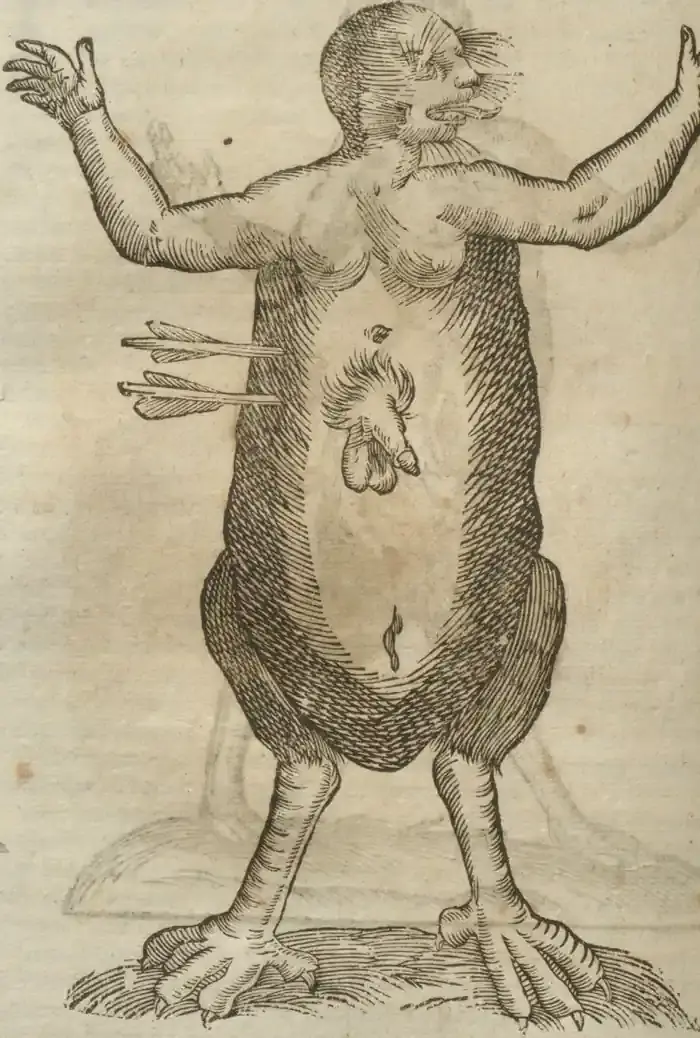 Illustration from page 572