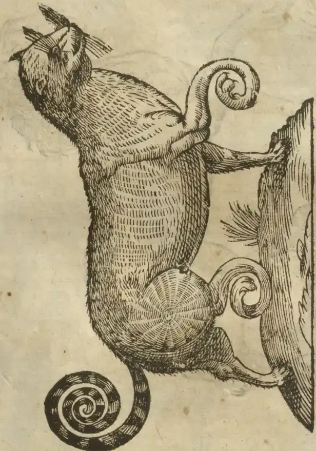 Illustration from page 575