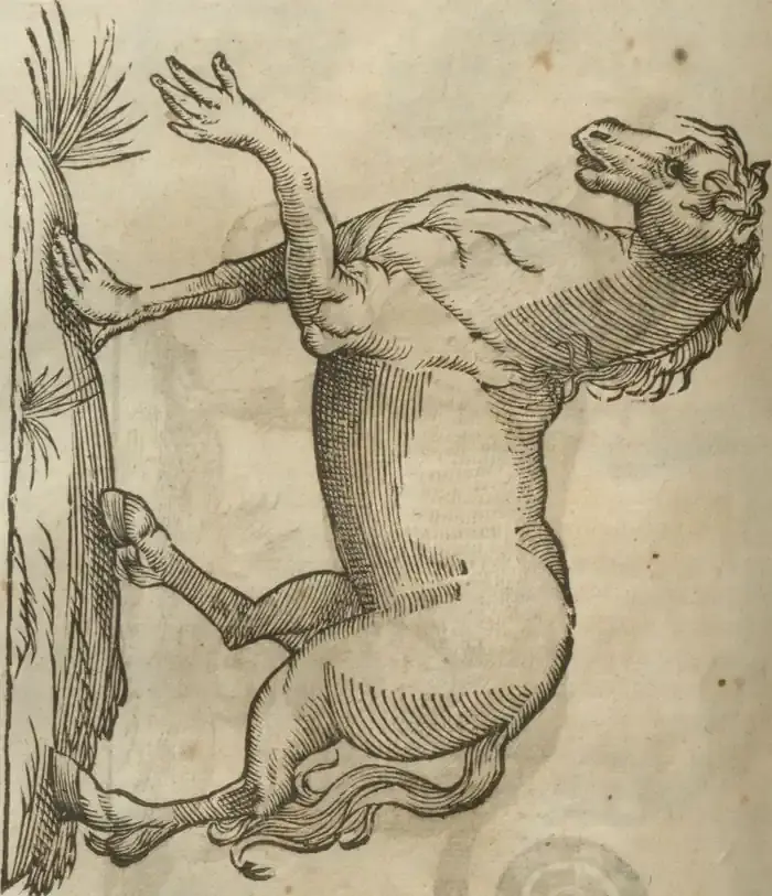 Illustration from page 576