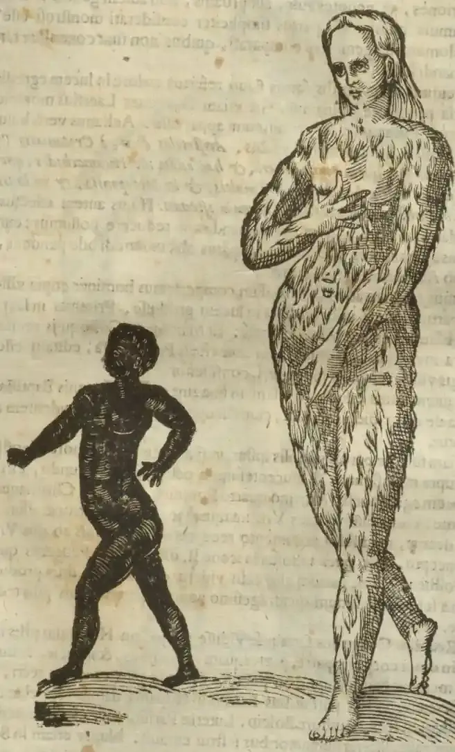Illustration from page 579