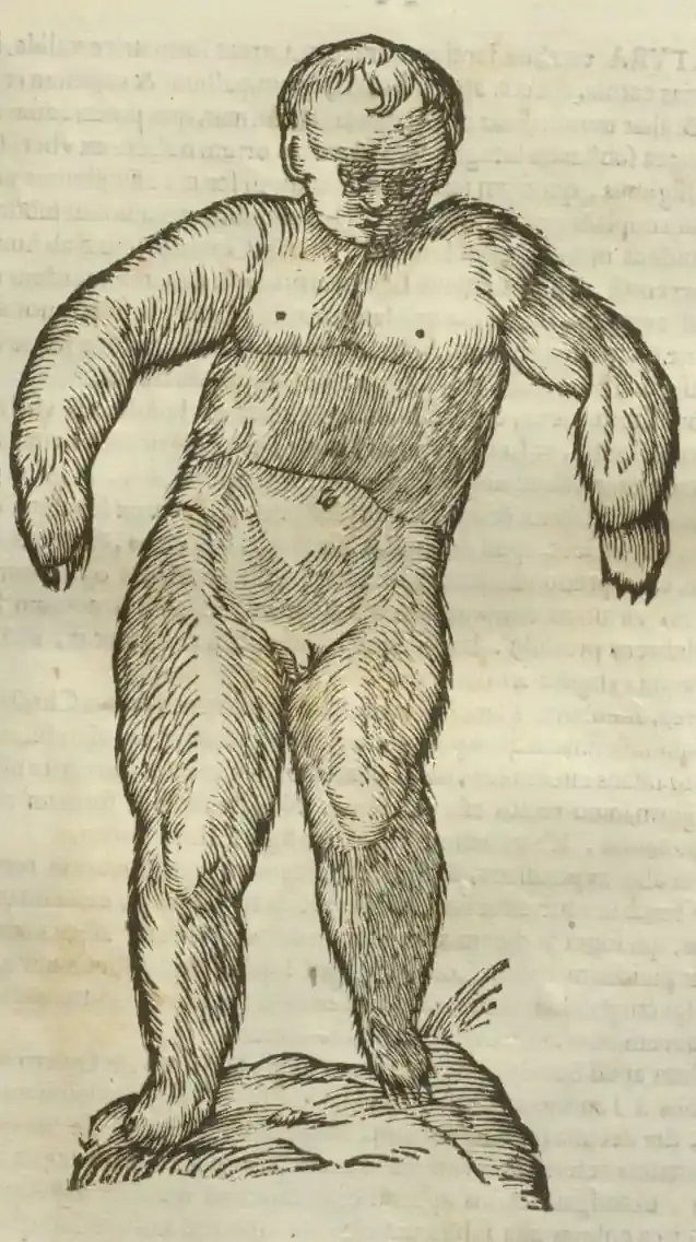 Illustration from page 581
