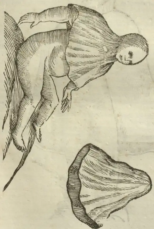 Illustration from page 583