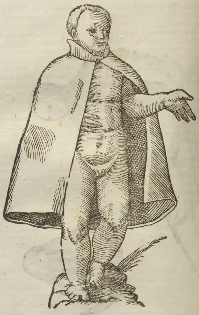 Illustration from page 584