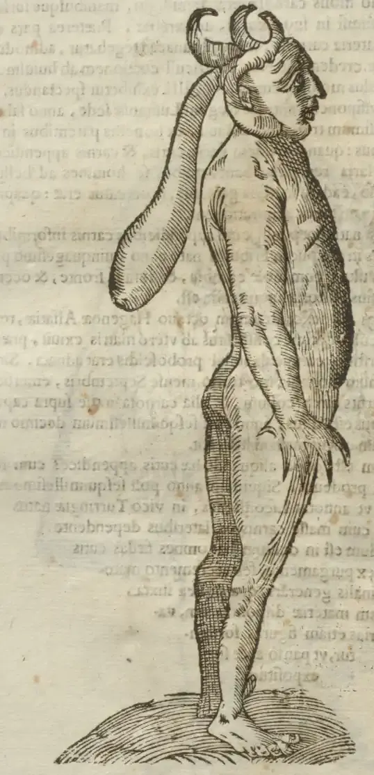 Illustration from page 586