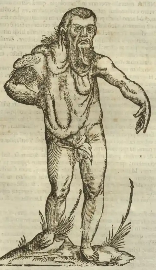 Illustration from page 587