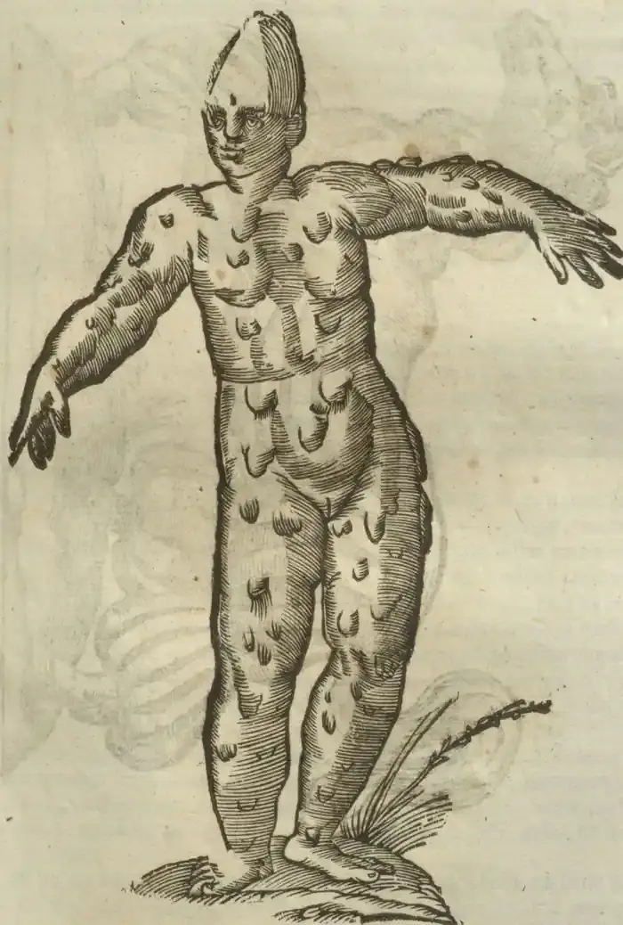 Illustration from page 589