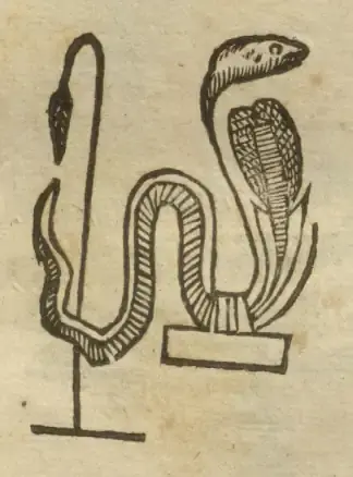 Illustration from page 593