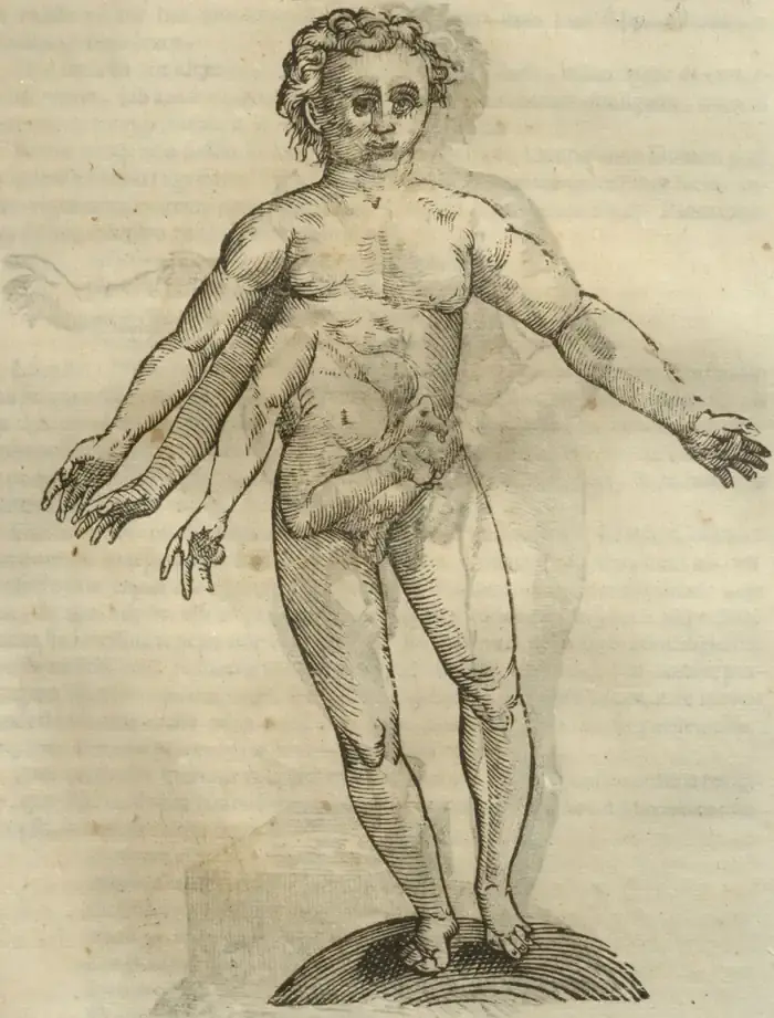 Illustration from page 611