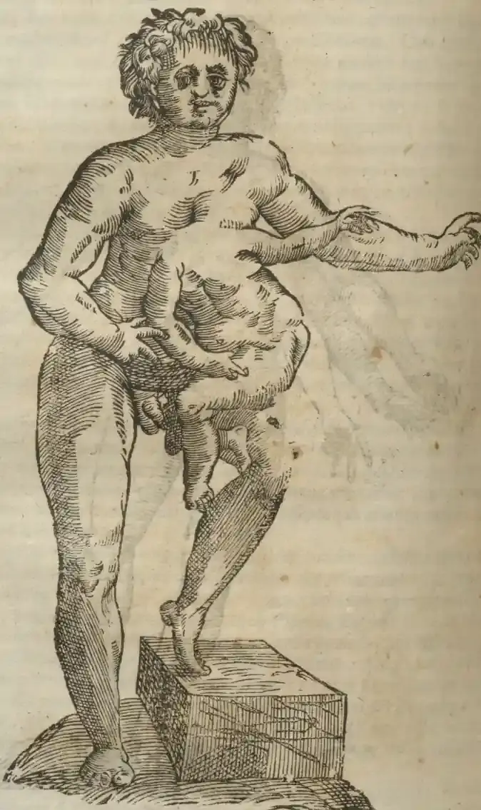 Illustration from page 612