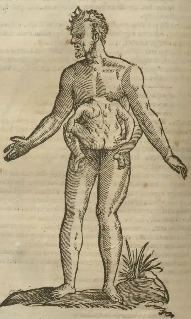 Illustration from page 614