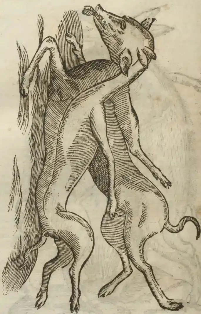 Illustration from page 618