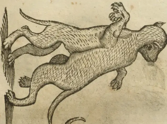 Illustration from page 623