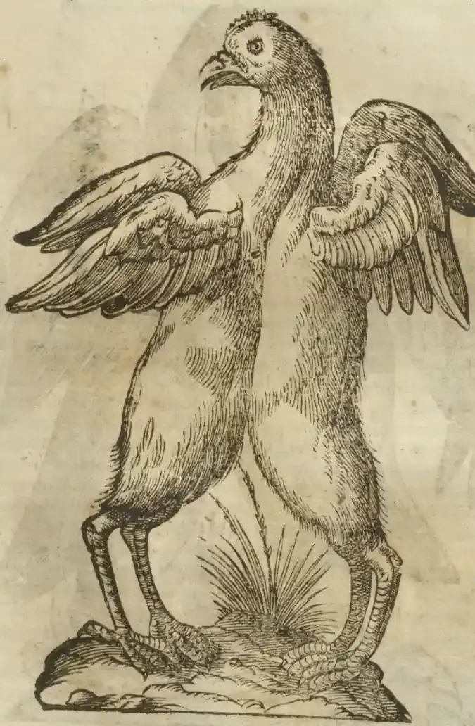 Illustration from page 625