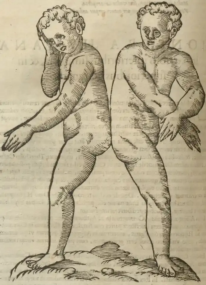 Illustration from page 628