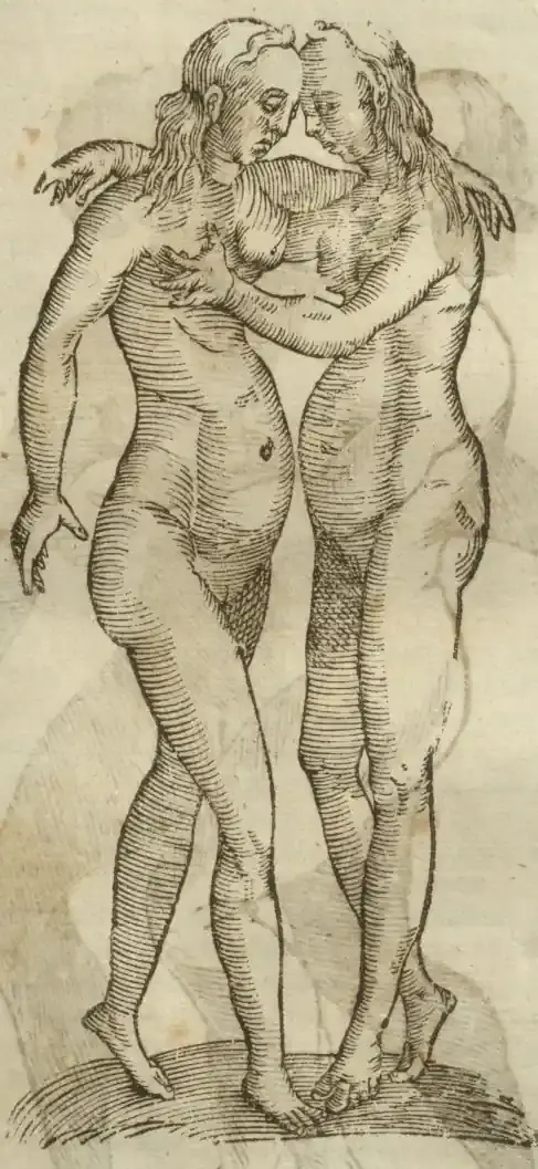 Illustration from page 635