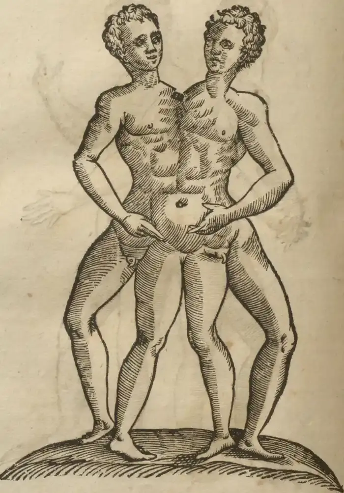 Illustration from page 644