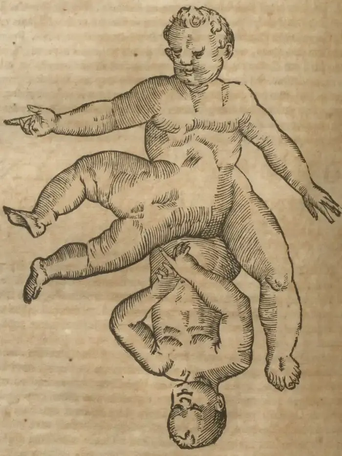 Illustration from page 646